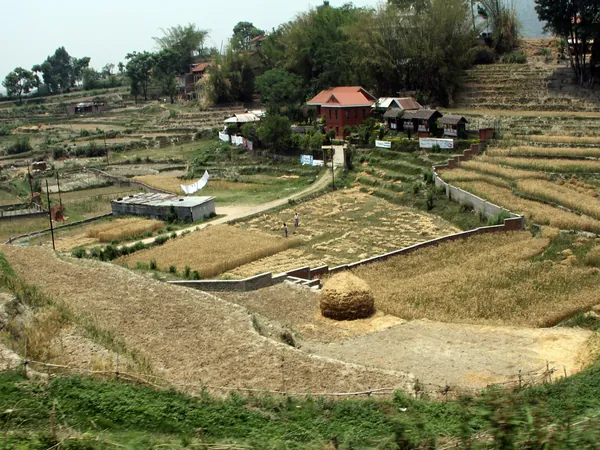 Terraced fields in Nagarkot